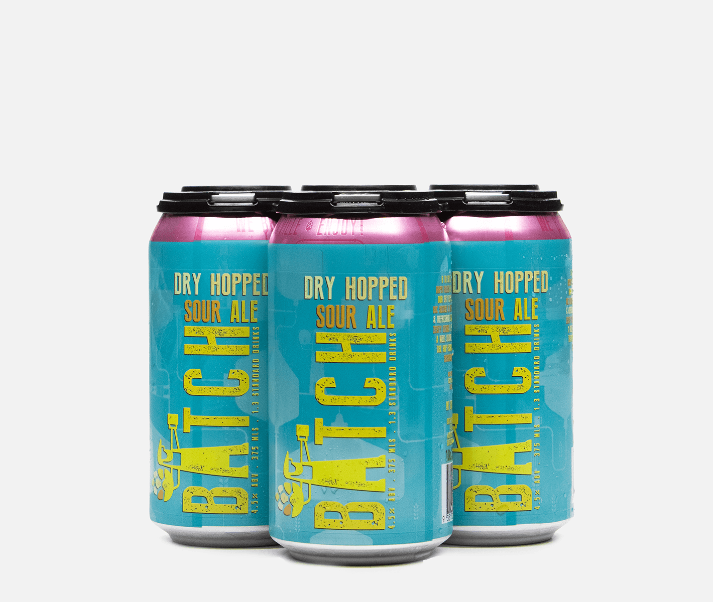 Dry Hopped Sour 4 Pack (375ml) DRNKS