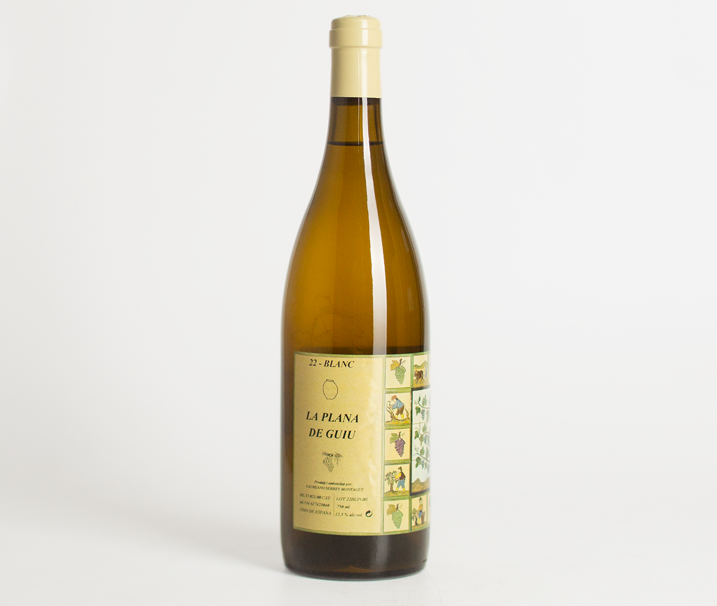 Mendall 2022 La Plana De Guiu