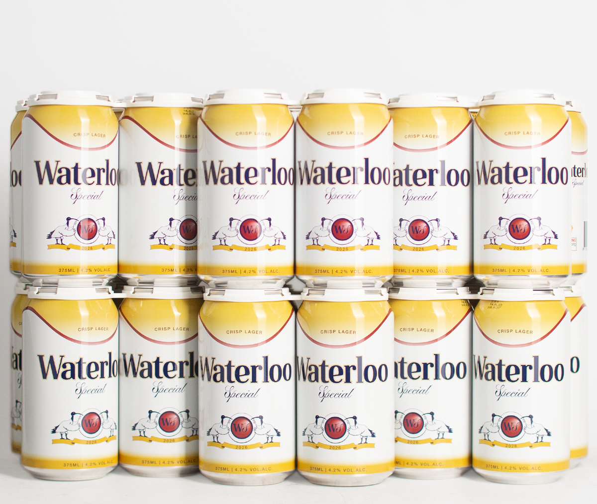 Waterloo Special Crisp Lager Carton (375ml)