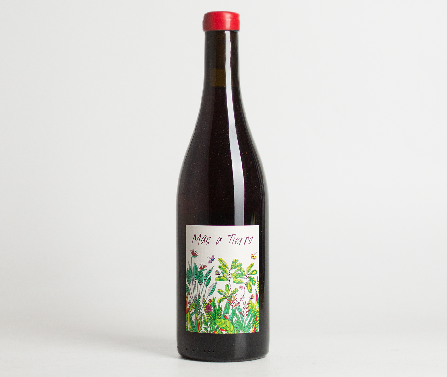 La Petite Empreinte 2023 Côteaux Bourguignons Más a Tierra