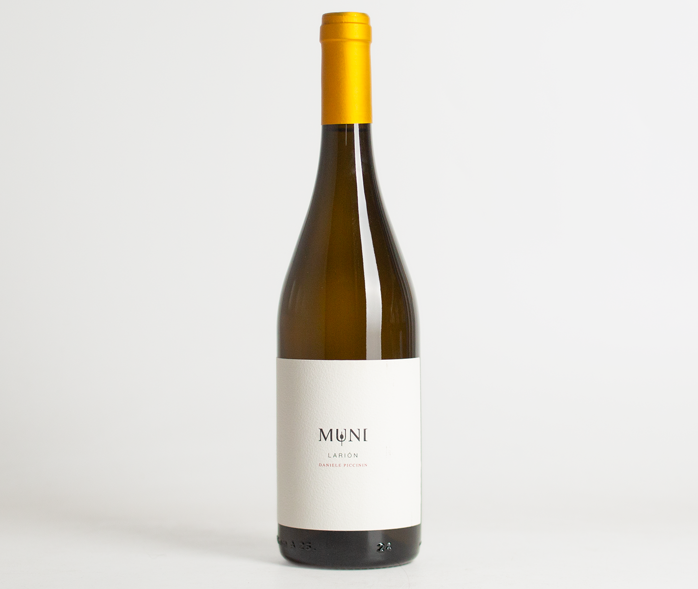 Daniele Piccinin 2023 Muni Larion